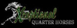 Xceptional Quarter Horses